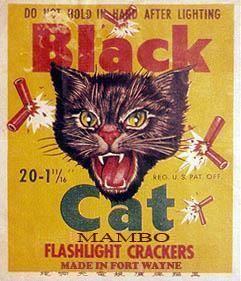 Black Cat Mambo